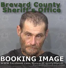Mugshot of BRIAN DAVID ANDERSON
