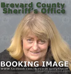 Mugshot of SHERRI RANA TOMLINSON