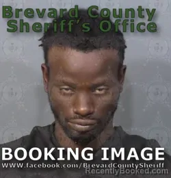 Mugshot of PATRICK SIDNEY SNEED