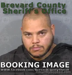 Mugshot of DIONES ALEXANDER TAVERAS