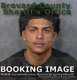 Mugshot of JADIEL YAMIL BARI