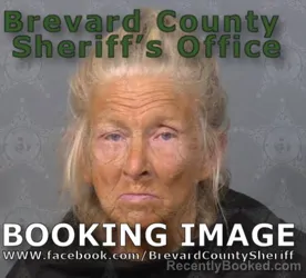 Mugshot of Robin Gail Kean