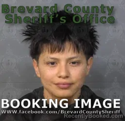 Mugshot of MELANY ROCIO RODAS-DELEON