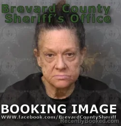 Mugshot of Tracy Ann Head