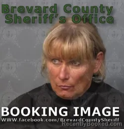 Mugshot of ERICA GILSON