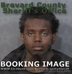 Mugshot of HERNALDO WENSTON MARCELIN