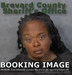 Mugshot of TIMQUETA LASHAE EVAIETAE CURRY