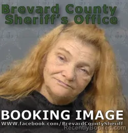 Mugshot of PATRICIA ANN BOYER