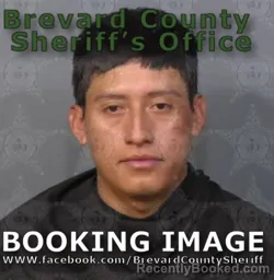 Mugshot of Hever Domingo Sanchez