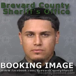 Mugshot of LUIS ANGEL FLORES