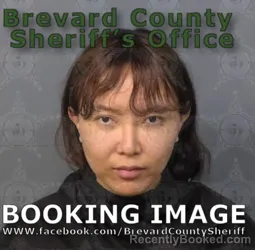 Mugshot of JIA XIA