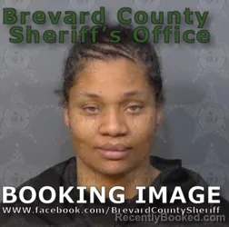 Mugshot of Amanda Dawn Booker