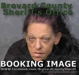 Mugshot of Jamie Lyn Heath