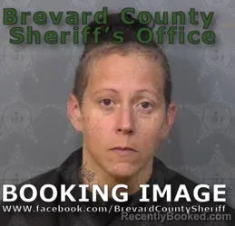 Mugshot of VIDA LEE VEGA