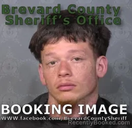 Mugshot of TALAN HALL