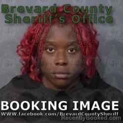 Booking photo from Brevard County, Florida