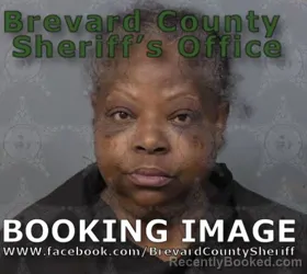 Booking photo from Brevard County, Florida