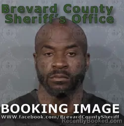 Mugshot of Timothy Lamar McKinnis booked in Brevard County, Florida on April 19, 2026