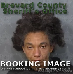 Mugshot of Virginia Rene Nicole Jordan booked in Brevard County, Florida on April 19, 2026