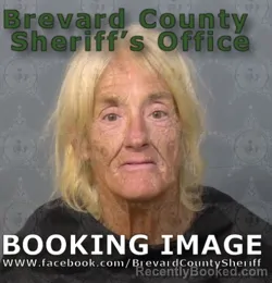 Mugshot of Joann Irene Pettepher booked in Brevard County, Florida on April 20, 2026