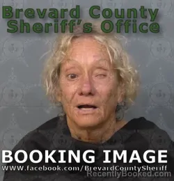 Mugshot of Tina Eileen Conneely booked in Brevard County, Florida on April 20, 2026