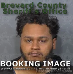 Mugshot of LAVONNE CHRYSTOPHER LEE SNELL booked in Brevard County, Florida on April 20, 2026
