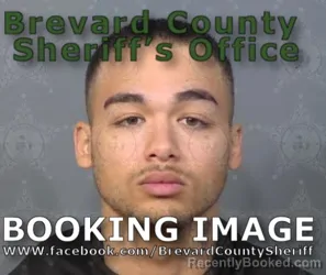 Mugshot of DAYLIN KNOWLES booked in Brevard County, Florida on April 22, 2026