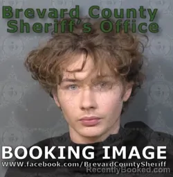Mugshot of ETHAN ANDREW DANSEREAU booked in Brevard County, Florida on April 23, 2026