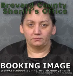 Mugshot of ARADA URSULESCU booked in Brevard County, Florida on April 23, 2026