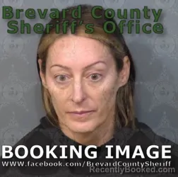 Mugshot of SARAH ELLEN GOTTESFELD booked in Brevard County, Florida on April 24, 2026