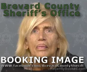 Mugshot of SALLYANN LOMBARDI booked in Brevard County, Florida on April 24, 2026