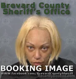Mugshot of BRANDIE MARQUE BROWN booked in Brevard County, Florida on April 26, 2026