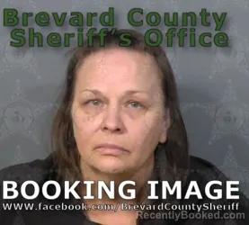Mugshot of Dawn Marie McNaughton booked in Brevard County, Florida on April 28, 2026