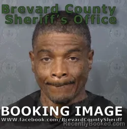Mugshot of TERRY ORLANDA KING booked in Brevard County, Florida on April 28, 2026
