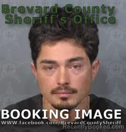 Mugshot of SETH ALVIN AMY booked in Brevard County, Florida on April 28, 2026