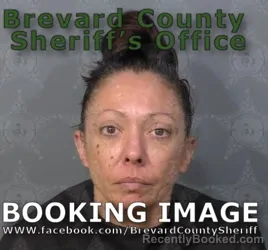 Mugshot of ERIN MARIE SANDERS booked in Brevard County, Florida on April 30, 2026