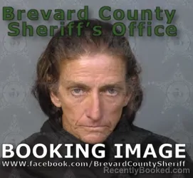 Mugshot of Dena Fitzgerald McHale booked in Brevard County, Florida on May 2, 2026