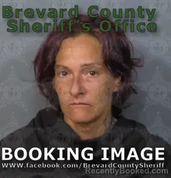 Mugshot of Dawn Alisa Padilla booked in Brevard County, Florida on May 2, 2026