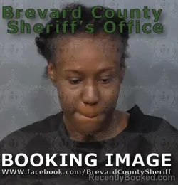 Mugshot of KALEYA LANYE KEELS booked in Brevard County, Florida on May 2, 2026