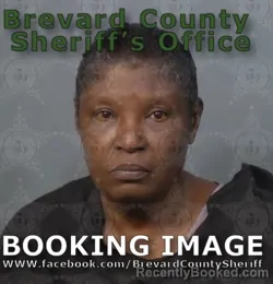 Mugshot of BARBARA ANN LEWIS booked in Brevard County, Florida on May 3, 2026