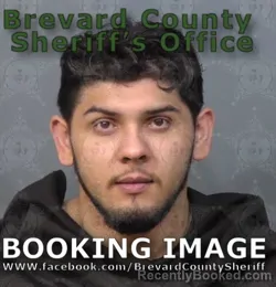 Mugshot of CASIAN SAVA booked in Brevard County, Florida on May 3, 2026