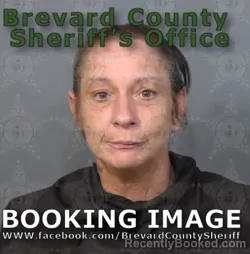Mugshot of Teri Lynn Crook booked in Brevard County, Florida on May 4, 2026