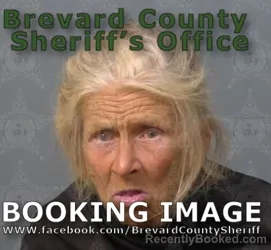 Mugshot of Robin Gail Kean booked in Brevard County, Florida on May 4, 2026
