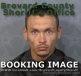 Mugshot of Steven Wayne Wright booked in Brevard County, Florida on May 5, 2026