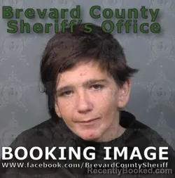 Mugshot of Sierra Lynn Cochran booked in Brevard County, Florida on May 5, 2026
