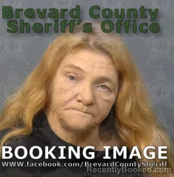 Mugshot of PATRICIA ANN BOYER booked in Brevard County, Florida on May 6, 2026