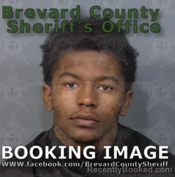 Mugshot of Ankivya Janarius
 Amoz Bray booked in Brevard County, Florida on May 6, 2026