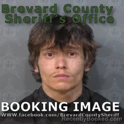 Mugshot of TYLER DION BOWSER booked in Brevard County, Florida on May 6, 2026