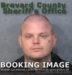 Mugshot of GAIGE ALEXANDER WILSON booked in Brevard County, Florida on May 7, 2026