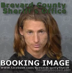Mugshot of DOROTHY SCHRECK booked in Brevard County, Florida on May 7, 2026